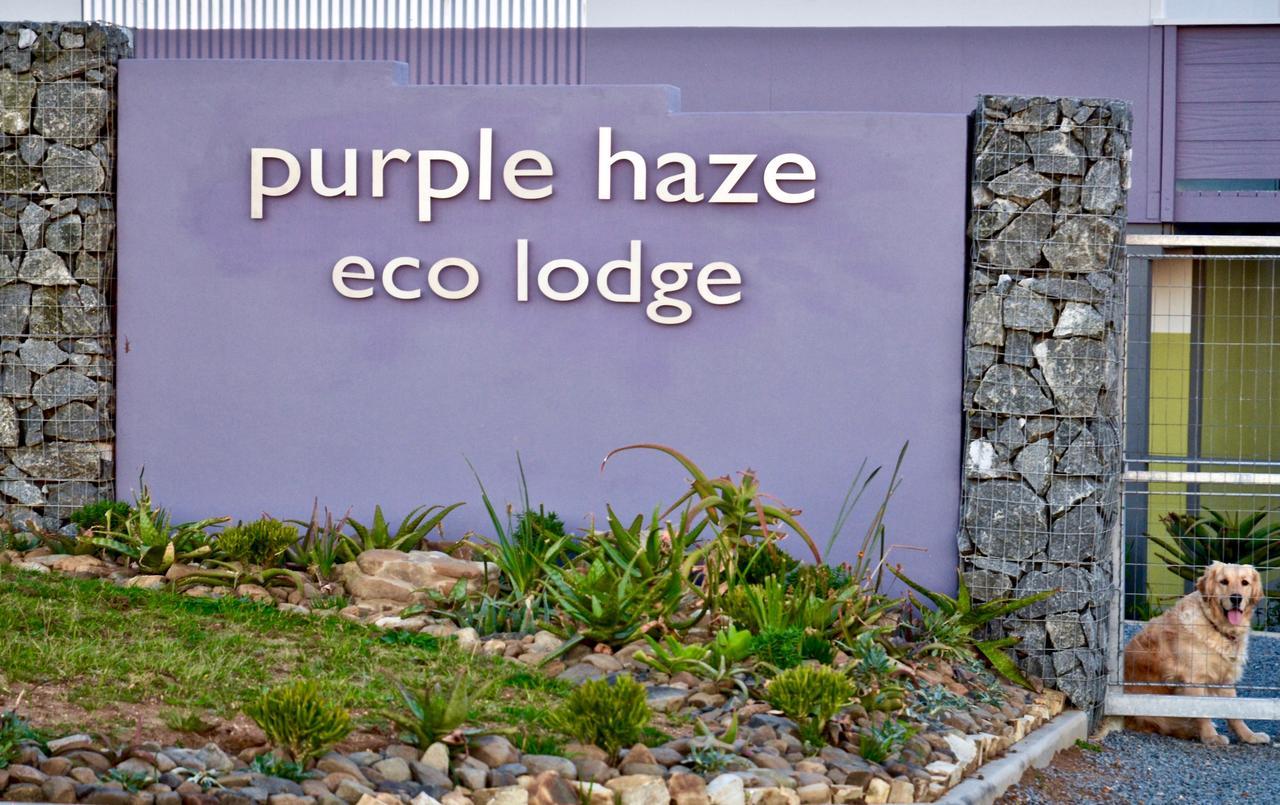 Purple Haze Eco Lodge Чінца Екстер'єр фото